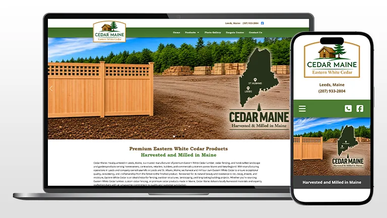 Custom Website Designs